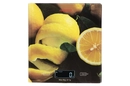 SCK-893LEMON - 12168530