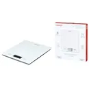 SCK-893W - 12168532