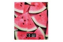 SCK-893WATERMELON - 12168533