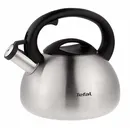 Чайник зі свистком Tefal, 2.5л, нержавіюча сталь, пластик C7921024