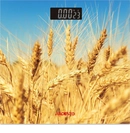 SCB-965WHEAT - 12182256